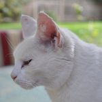 Maureen Ellis - @maureenellis99 - Instagram