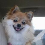 Maureen Elmore - @maureen_elmore225 - Instagram