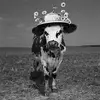 Maureen Erb Ollier - @maureen.erb.ollie - TikTok