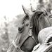 Maureen Wright Ethier - Facebook