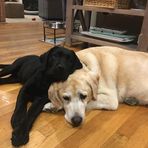 Maureen Faherty - Facebook