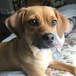 Maureen Farrington Gallagher - @mogall815 - Instagram