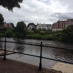Moe - @maureen.farrington - Instagram