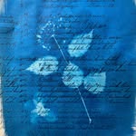 Solas Cyanotype - @maureen_feeley - Instagram