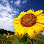 Maureen Ferris - @maureen.ferris.7 - Instagram
