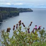 Maureen Ferris Prindeville - @mferris5 - Instagram