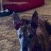 Maureen Finger - Facebook