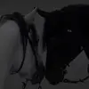 Maureen Flora - @maureen.flora85 - TikTok