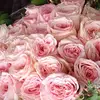 maureensflorals - @maureensflorals - TikTok