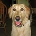 Maureen Frey - Facebook