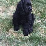 Maureen B. Galvin - @maureen.b.galvin - Instagram