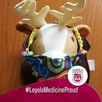 Maureen McLaughlin Galvin - @maureenglvn - Instagram