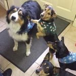 Maureen Gannon - @maureengan6 - Instagram