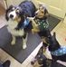 Maureen Gannon - Facebook