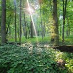 Maureen Gannon - @mobiwan72 - Instagram