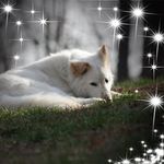 Maureen Garrison - @maureen.garrison - Instagram