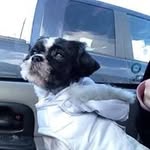 Maureen Goodman - @mgoodman723 - Instagram