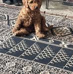 Maureen Goodman - Facebook