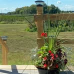 Maureen Gould - Facebook