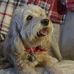 Maureen Greaney - Facebook