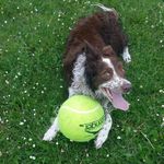 Maureen Gregory - @harleynasa - Instagram