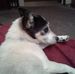 Maureen Gregory - Facebook