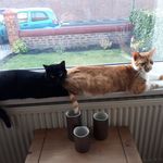 Maureen Grimes - @maureen.grimes.5 - Instagram