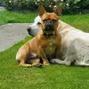 Maureen.cosgrove - @maureen.cosgrove - TikTok