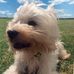 Maureen Guest - Facebook