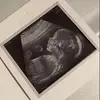 maureenelaineguest - @maureenelaineguest - TikTok