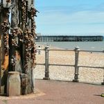 Maureen Harman - @mohar_by_the_sea - Instagram