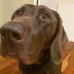 Maureen Harmon - @momohar7 - Instagram