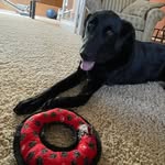 Maureen Harry Beck - @maureen.beck.6 - Instagram