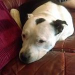 Maureen Hatchard - @maureenhatchard - Instagram