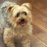 Maureen Hebert - @maureen_ross69 - Instagram