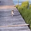 maureenhebert365 - @maureenhebert365 - TikTok