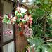 Maureen Henning - Facebook