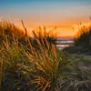 maureenhenning399 - @maureenhenning399 - TikTok