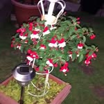 Maureen Hopwood - @maureen.hobson1 - Instagram