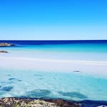 MaureenHobson - @maureenahobson - Instagram