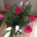 Maureen Hogg - Facebook