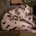 Maureen Hogg - Facebook