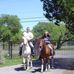 Maureen Holcomb - Facebook