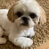 Maureen Hopper - @maureen.hopper - TikTok
