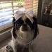 Maureen Huggins - Facebook