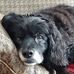 Maureen Hunter - Facebook