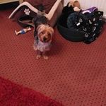 Maureen hunter - @maureenhunter1586 - Instagram