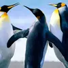 maureen reons - @maureenreons - TikTok