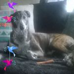 Maureen Irvine - @irvine9681 - Instagram