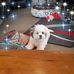 Maureen Irvine - Facebook